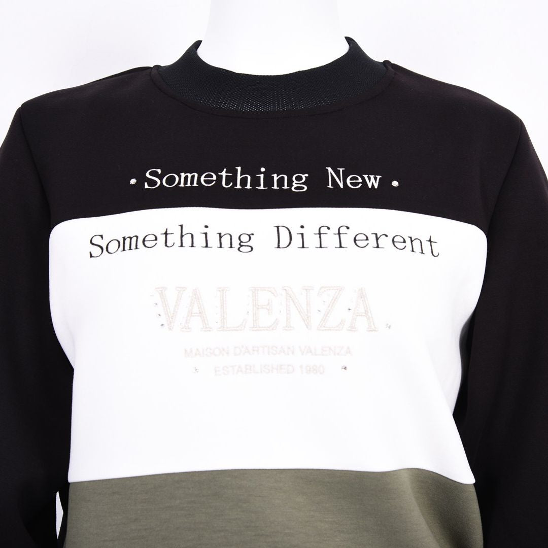 【Lサイズ】フロント切替 ロゴトレーナー VALENZA 5552701