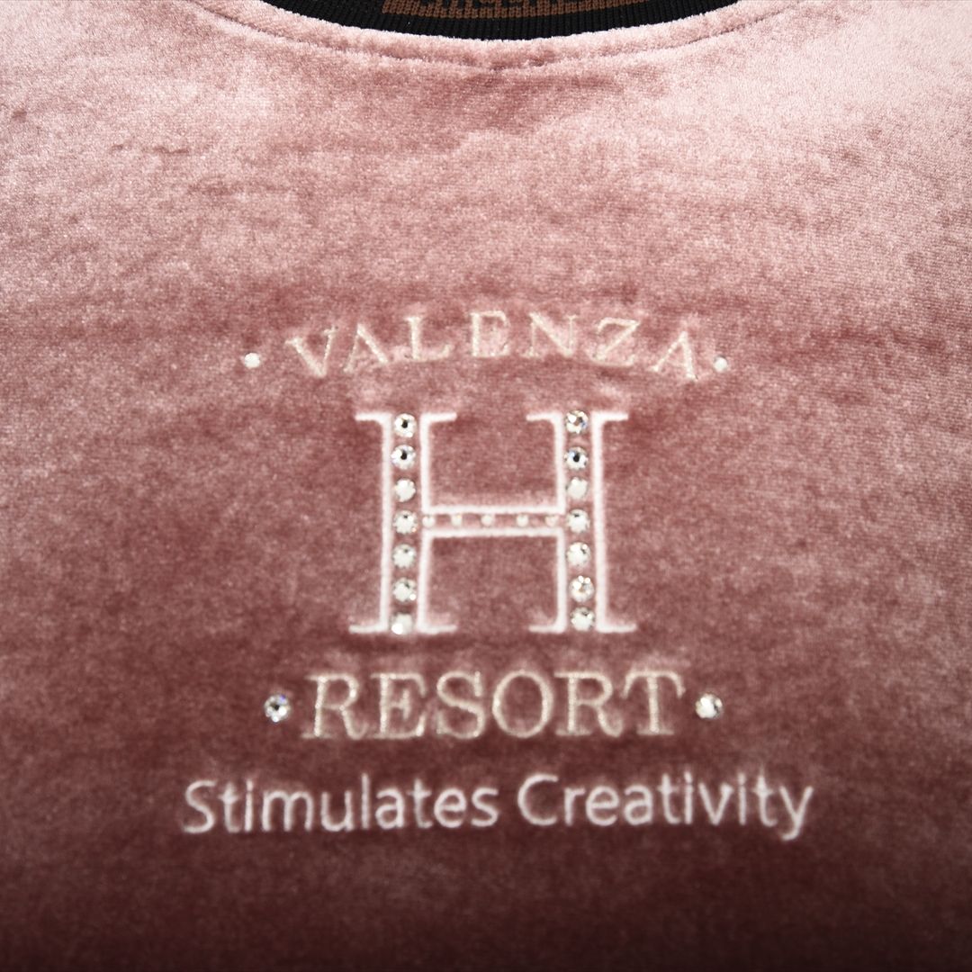 【上品な光沢】フロントモチーフ ストレッチベロアカットソー　VALENZA home　5352304