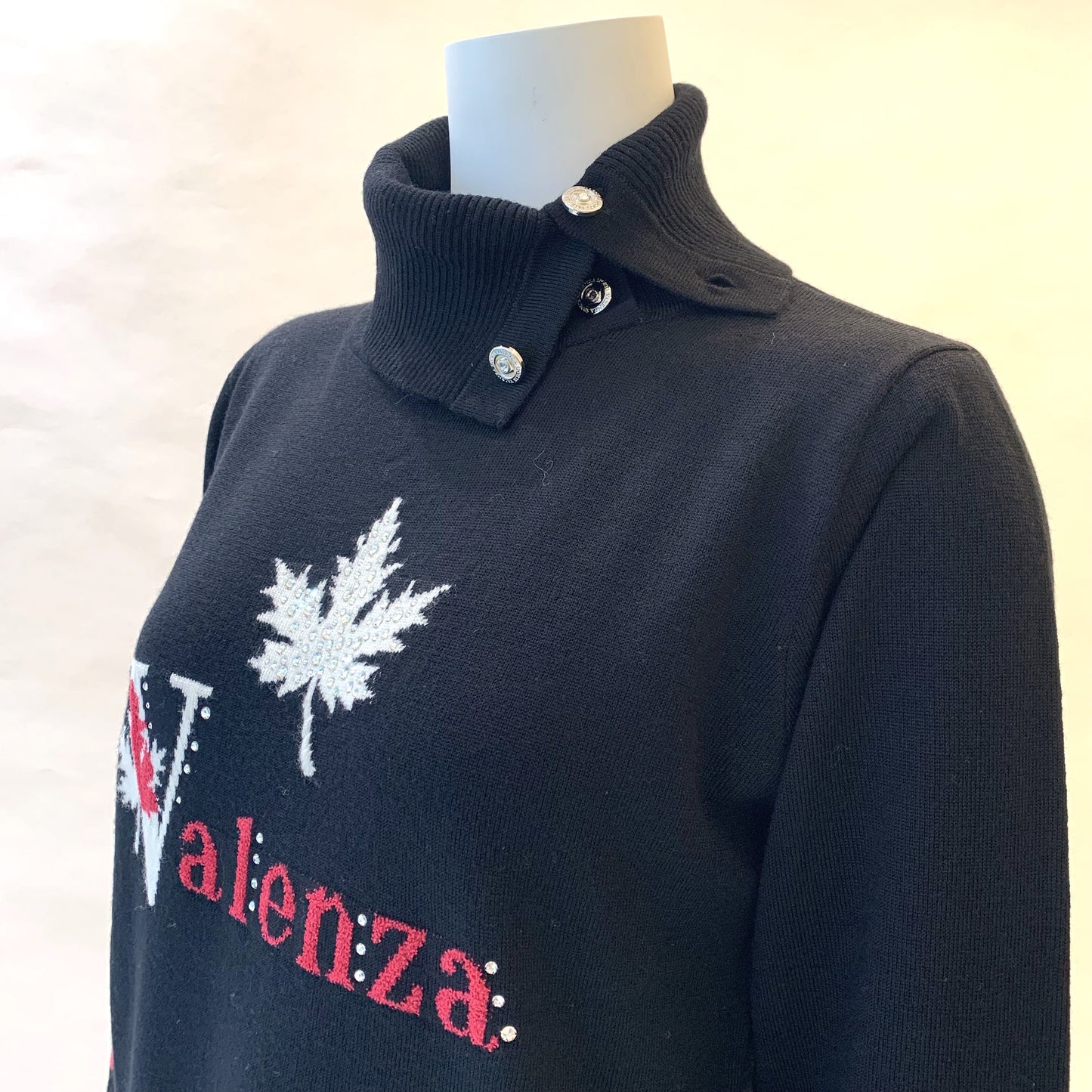 【OUTLET】【Lサイズ】釦あき　タートルネックプルオーバー　 VALENZA　5533705