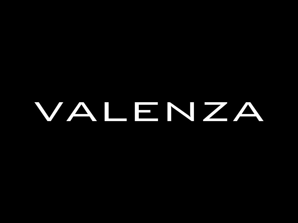 【華やぐボタニカル柄】チュールブラウス　VALENZA　5141505