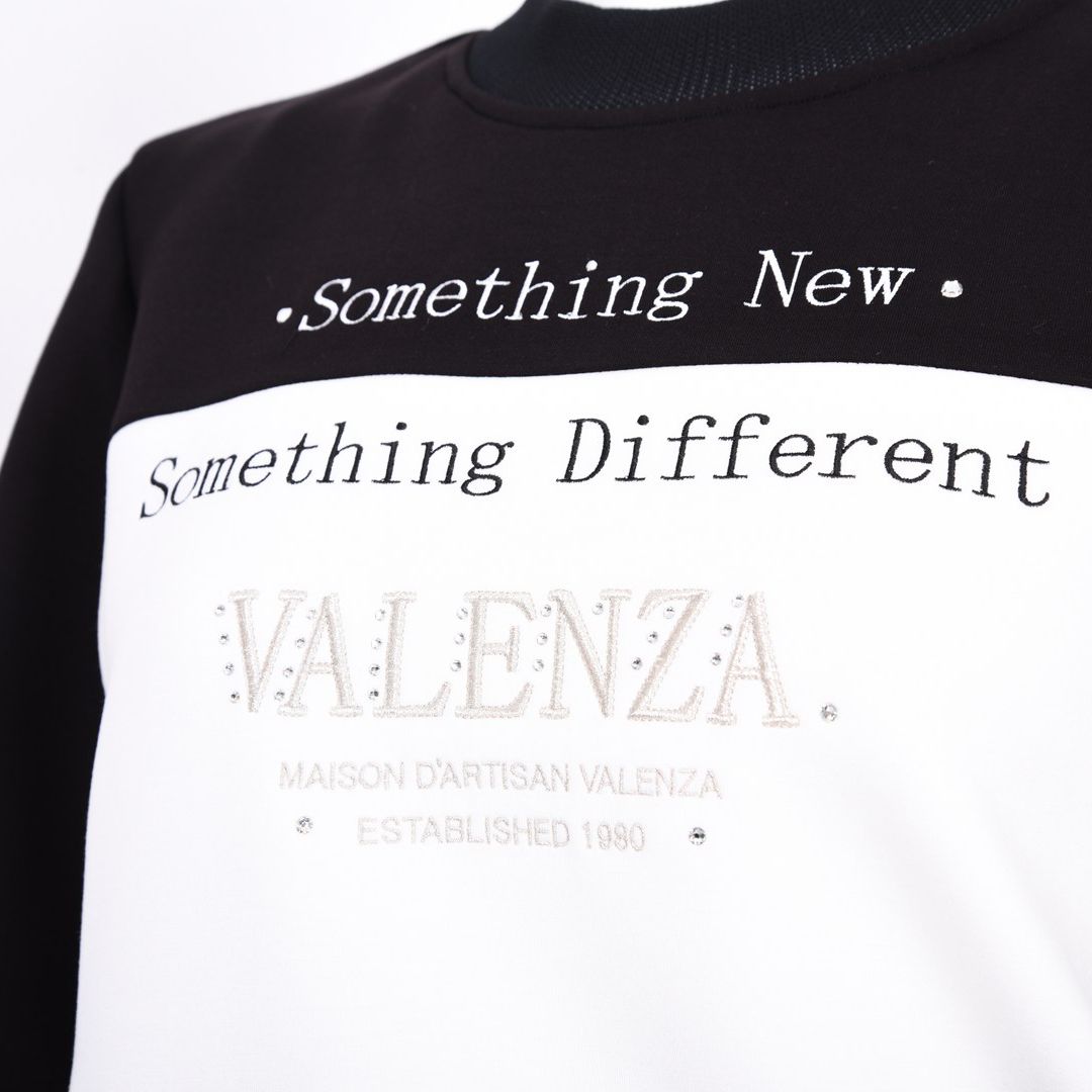 【Lサイズ】フロント切替　ロゴトレーナー　VALENZA　5552701